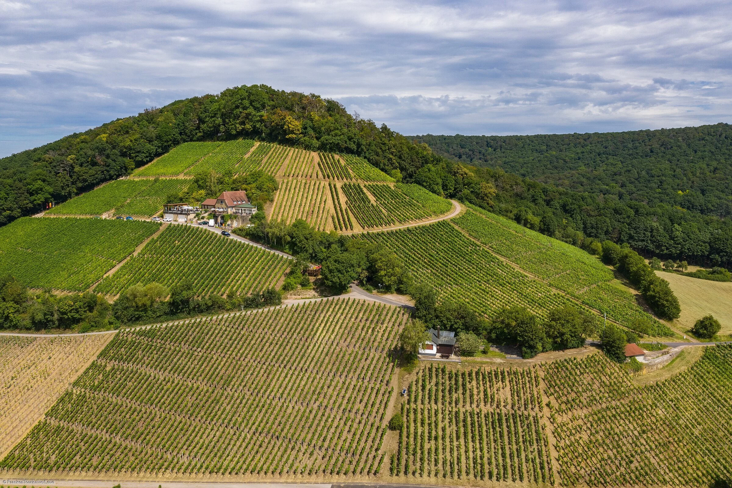 terroir-f Oberschwarzach-Handthal (Oberschwarzach/Steigerwald)