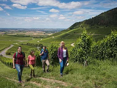 Wandern in den Weinbergen (Iphofen/Fränkisches Weinland)