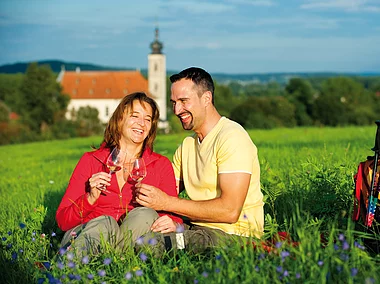 Rast bei Maria Limbach (Eltmann/Steigerwald)