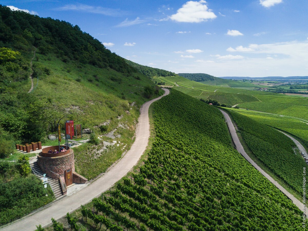 Blick vom terroir f auf die Weinberge