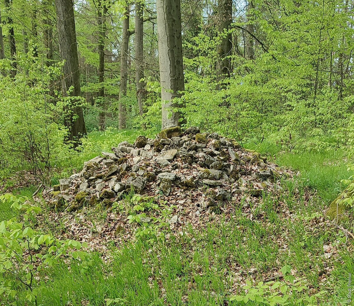 Grabhügel am Rittersrain (Stadt Themar)